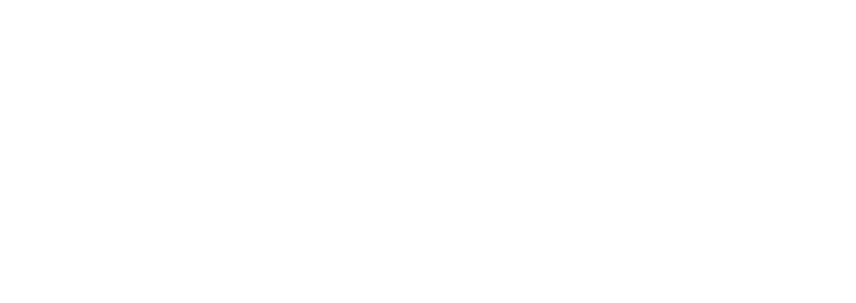 Artemis Group